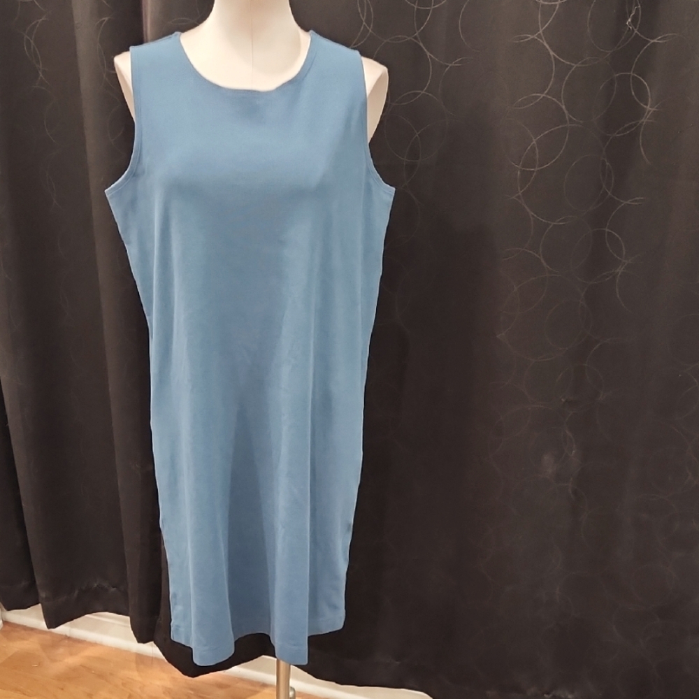 Sleeveless Blue Patagonia Dress‎